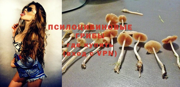 скорость Алексин